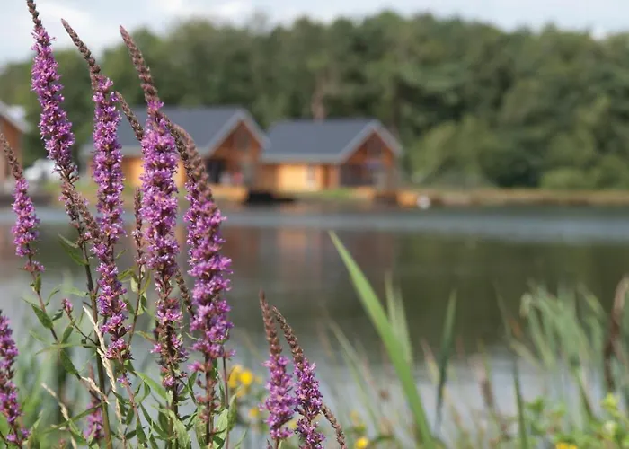 Lovely In With Wifi بيت للعطل