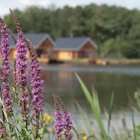 Lovely In With Wifi Tatil Evi